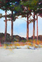 magic J Nagel Shoreline