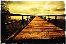 Palmetto Bluff Dock Photo