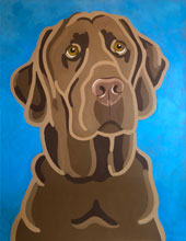 pet chocolate lab
