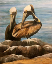 BAA PelicanPerch CamillaPagliaroli