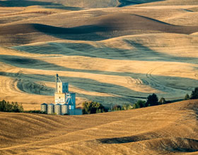 Photo Sandy Dimke Shades of the Palouse Expert 1 of 1