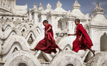photo Monks At Play BobNorwood