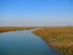 take-the-fall-marsh