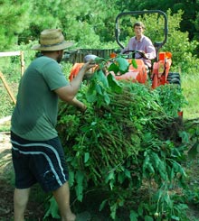 crop-mob-tractor