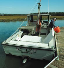 oyster-k-c-lee
