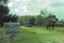 cumberland-horse-boardwalk