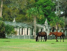 cumberland-horses-ruins