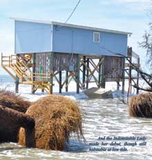 Hunting-Island-5