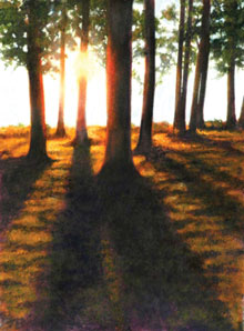 sunlight-sunlightshadow