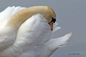 OneWord-Serenity-Karen-Gottschall