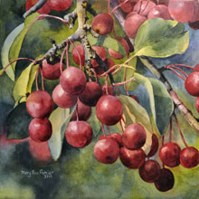 cover-cheery-cherries-by-ma-putzier